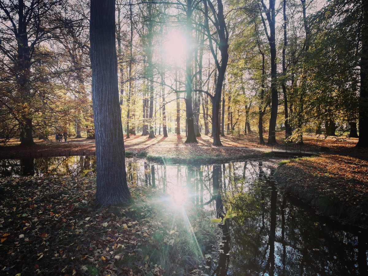 Schloss Pillnitz 2020